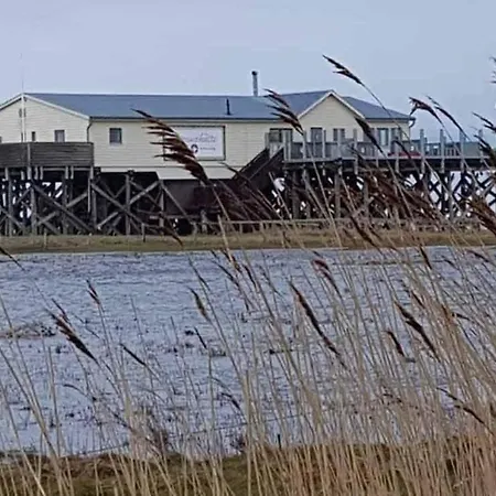 Fewo Aust - B56486 Lejlighed Sankt Peter-Ording